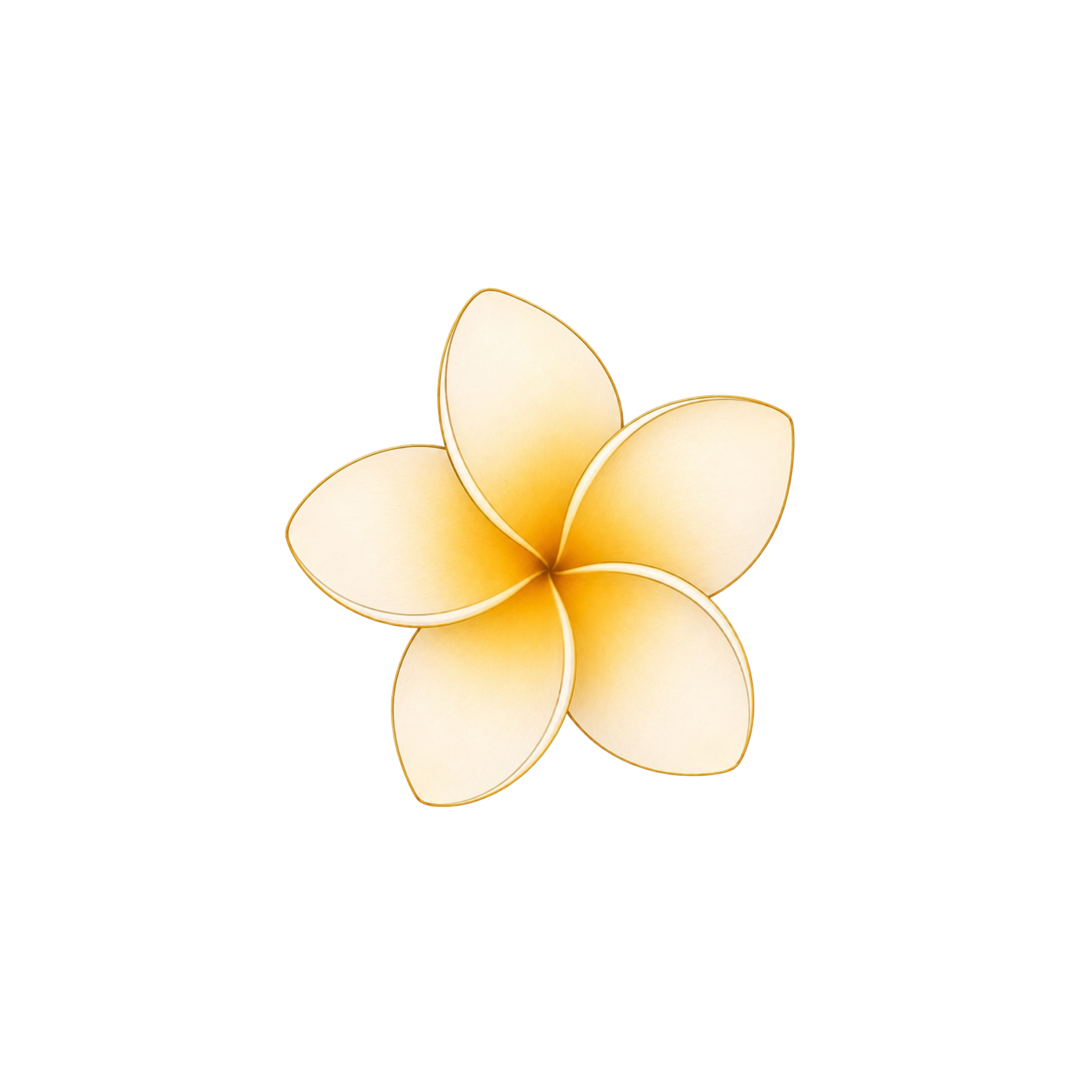 Plumeria